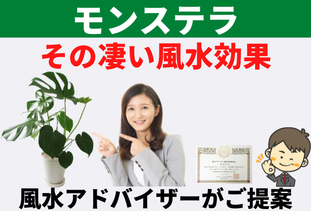 モンステラの風水で簡単運気アップ 風水アドバイザーご提案 グリーンスマイル