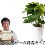 風水アドバイザーが教える観葉植物の正しい選び方とng行為 観葉植物と風水のグリーンスマイルblog