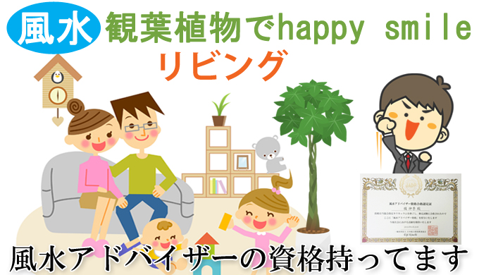 リビングにおすすめの観葉植物12選 風水アドバイザーがご提案 観葉植物と風水のグリーンスマイルblog リビングにおすすめの観葉植物12選 風水アドバイザーがご提案 観葉植物と風水のグリーンスマイルblog