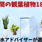 玄関におすすめ観葉植物18選！風水アドバイザーが選ぶとこうなった