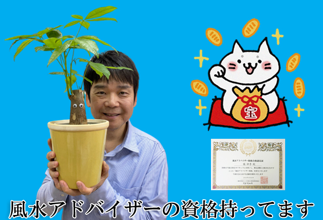グズマニア アナナス の育て方と風水効果をプロが解説 観葉植物と風水のグリーンスマイルblog グズマニア アナナス の育て方と風水効果をプロが解説 観葉植物と風水のグリーンスマイルblog