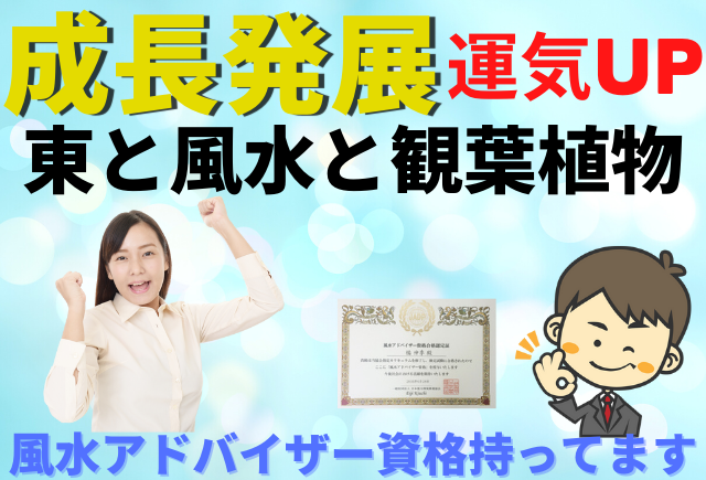 風水アドバイザーが教える観葉植物の正しい選び方とng行為 観葉植物と風水のグリーンスマイルblog