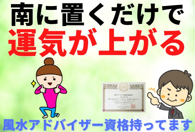 これだけで開運 南のパワーを活かす風水と観葉植物 観葉植物と風水のグリーンスマイルblog