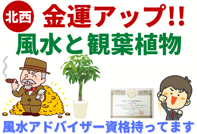北西の観葉植物と風水で金運 仕事運がアップする グリーンスマイル