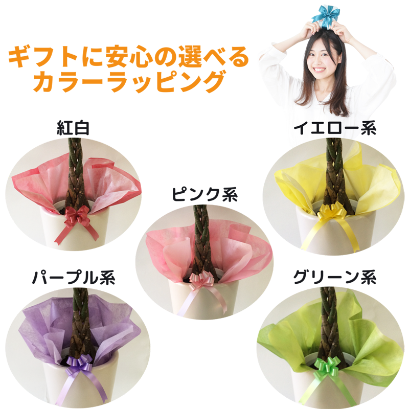 選べるカラーラッピング