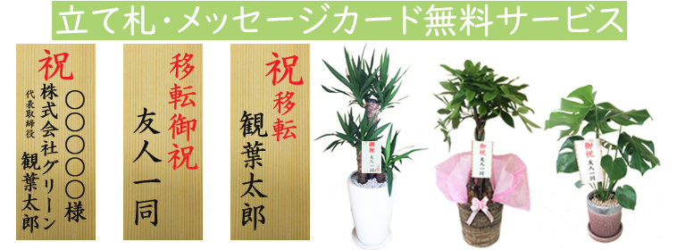 移転祝いに縁起良くお洒落な観葉植物専門店 グリーンスマイル グリーンスマイル