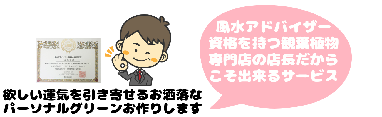 グリーンスマイルの【おまかせオーダーメイド 観葉植物】 | 観葉植物と  