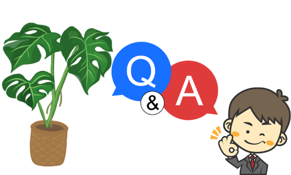 モンステラの風水で簡単運気アップ 風水アドバイザーご提案 グリーンスマイル