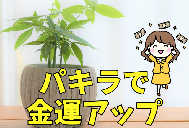 パキラを置くだけ【金運アップ】の最重要ポイント4つ | 観葉植物と ...